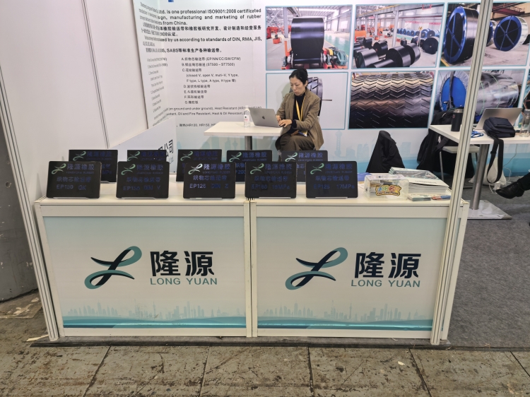 上海寶馬展于今天在上海國(guó)際博覽中心拉開(kāi)帷幕！
